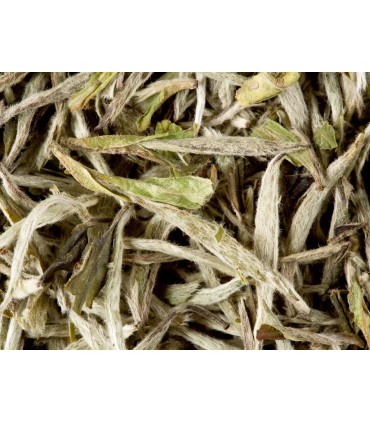 Yin Zen Thé Blanc